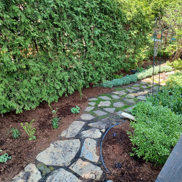 Flagstone Stepper Path & Structured Shade Planting