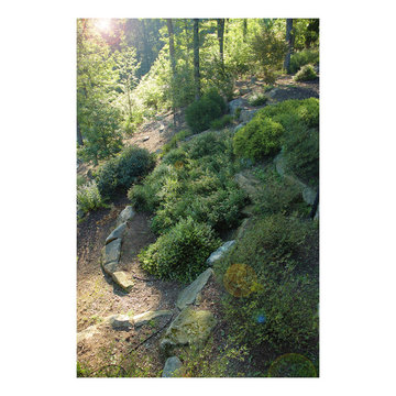 Mountain/Woodland Leisure Experience