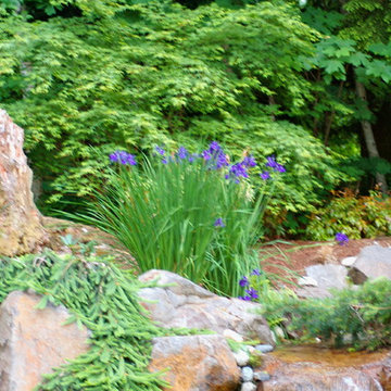 Water in the garden