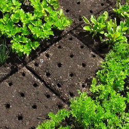 Seeding Square Gardens - Gardening Hand Tools