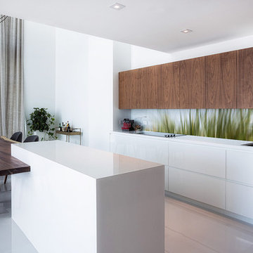 Beach Grasses printed image on glass splashback