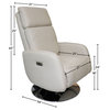 Paris Modern Top Grain Leather Ergonomic 2-Motor Powered Recliner, Beige/Silver