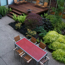 Side Yard Ideas