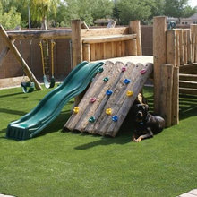 Ali Backyard
