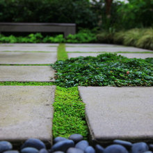 ground cover