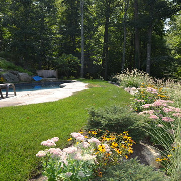 Natural poolscape. Perfect retreat.