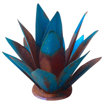Steel Blue Baby Tequila Agave