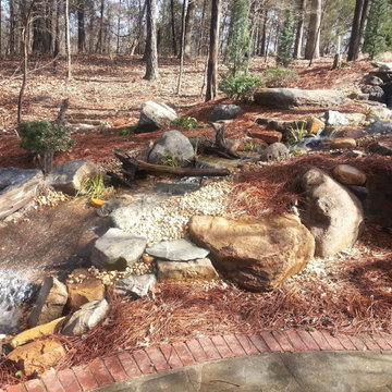 Ponds and Streams