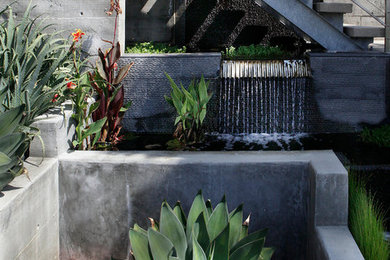 Photo of a mid-sized contemporary full sun courtyard concrete paver landscaping in Orange County for summer.
