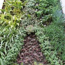 Living Wall System Residential - Greenhouses
