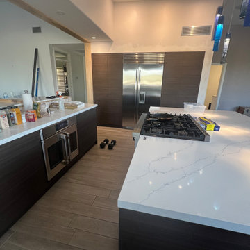 Whole House Remodel - Contemporary