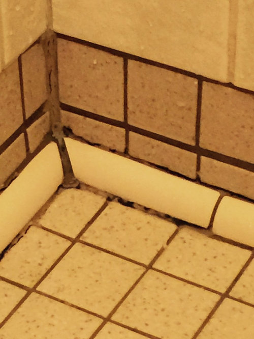 Have A Look At This Shower Grout Mildew Mold - How To Get Mold Off Bathroom Grout
