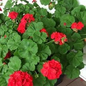 Kathy VanZytveld Cook's photo