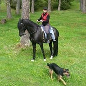 Helga Stiegler's photo