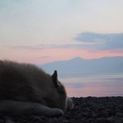 Masaaki Numasato's photo