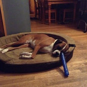 Amanda Cain's photo