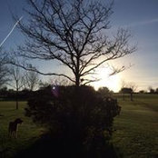 Paul Murray's photo