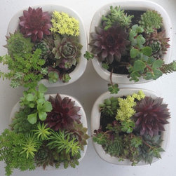Flora Verdura - Products