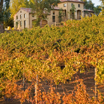 Los Altos Hills Winery