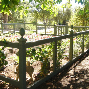 various photos