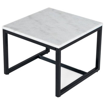 Modrest Baca Square Contemporary Metal & Marble End Table in Black/White
