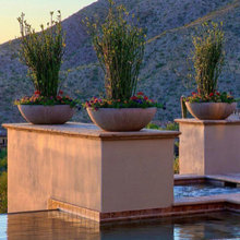 potted plants
