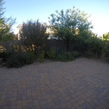 Plantings - 4 years