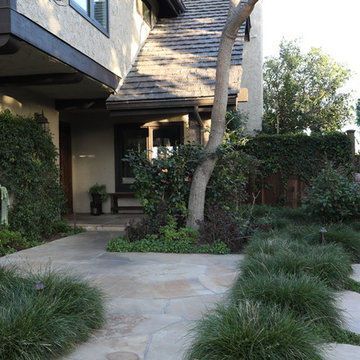 Welcome to our revamped home