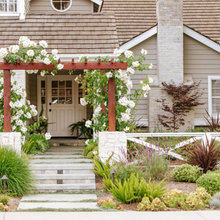 Before and After Yard in Laguna