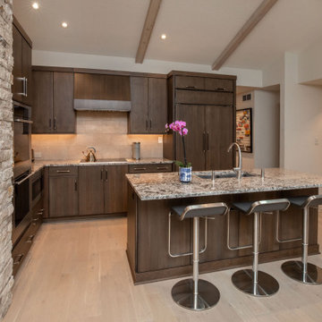 Dated 70's Kitchen Gets Contemporary Makeover