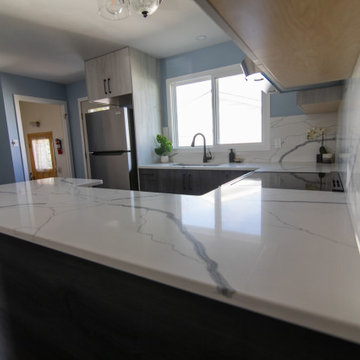 Kitchen Renovation