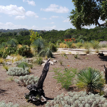Dripping Springs Natural Oasis