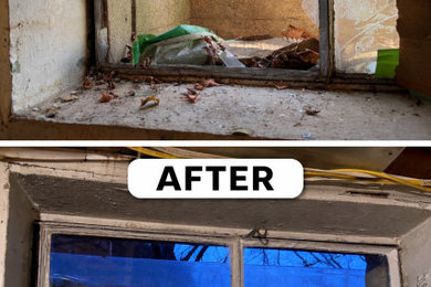 Window Glass Replacement