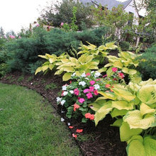 Minnesota Gardens