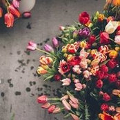 Andreea Balan's photo