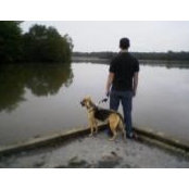Royce Hoffman's photo
