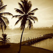 Amy Vollman's photo