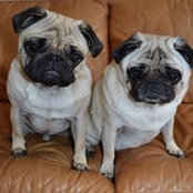 Keith Blohm's photo