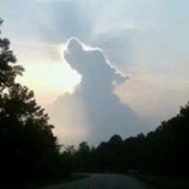 Jess Bunshaft's photo