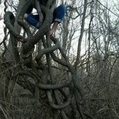 Mia Palatano's photo