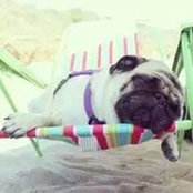 Theodoros Antoniou's photo