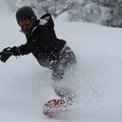 Colleen Cozad's photo