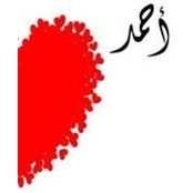 منى جبارينさんの写真