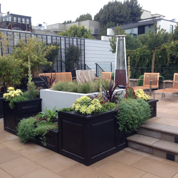 Rooftop Garden in San Francisco