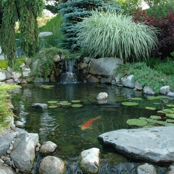 Backyard Retreat