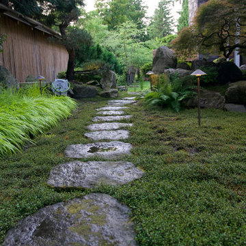 Moss gardens