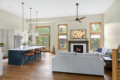 Example of a living room design in Minneapolis