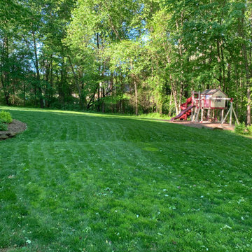 Before and after, seeding