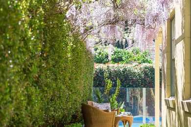 Photo of a small mediterranean side yard patio in Sydney with a vertical garden, concrete pavers and a pergola.