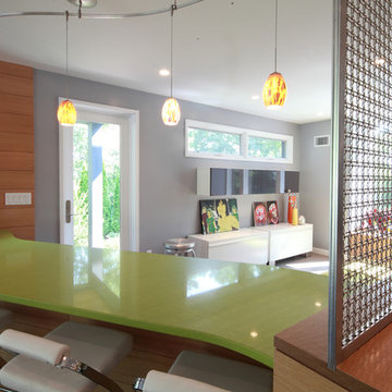 High Ridge RoadHigh Ridge Road, Hartsdale, NY Contemporary